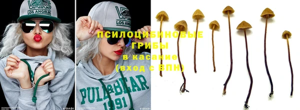 кокаин колумбия Белокуриха