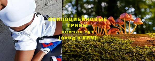 mdpv Беломорск