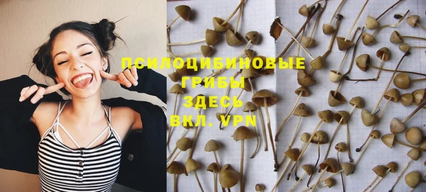 mdpv Беломорск