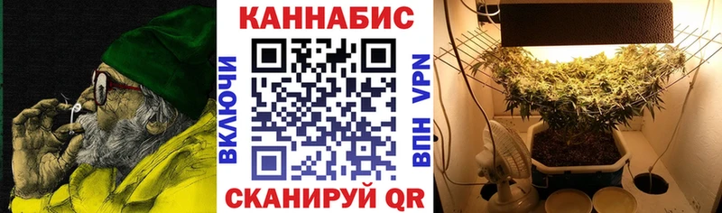 МЕГА рабочий сайт Мариинский Посад Бошки Шишки семена
